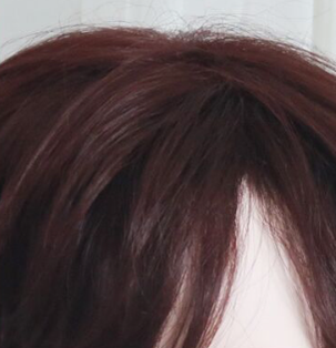 PippiPalace - Wolf Boy - Ouji Lolita Prince Red Trailing Wig