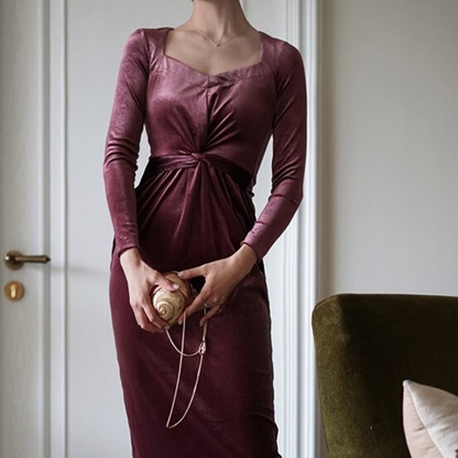 Countess's Velvet Dress