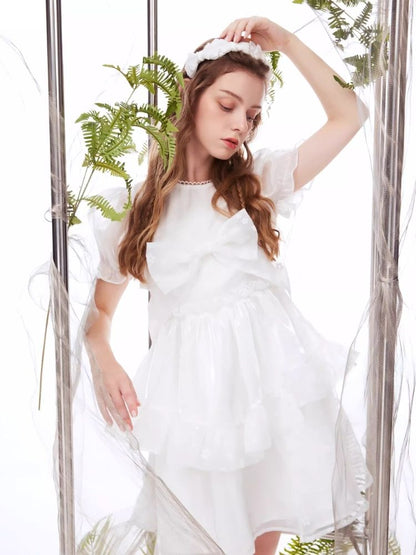 Bubble Sleeve Puffy Cake Dress【s0000006956】