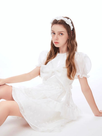 Bubble Sleeve Puffy Cake Dress【s0000006956】