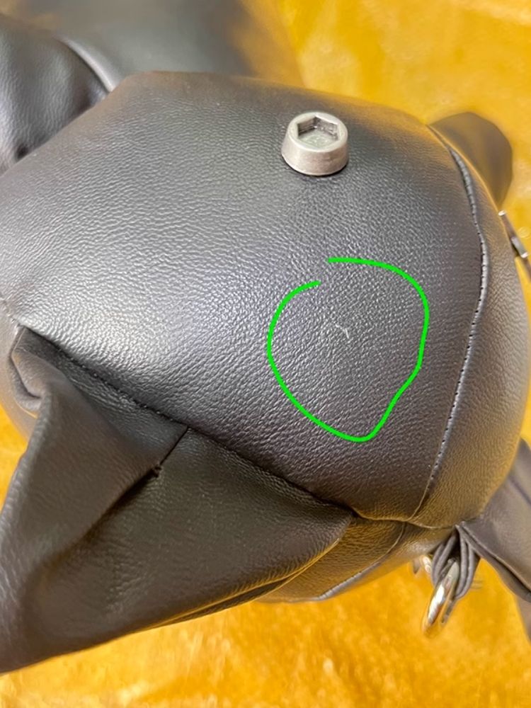 Star Rivet Biker Cat Battle Damage Kitten Double Shoulder Bag【s0000005209】