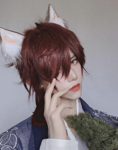 PippiPalace - Wolf Boy - Ouji Lolita Prince Red Trailing Wig