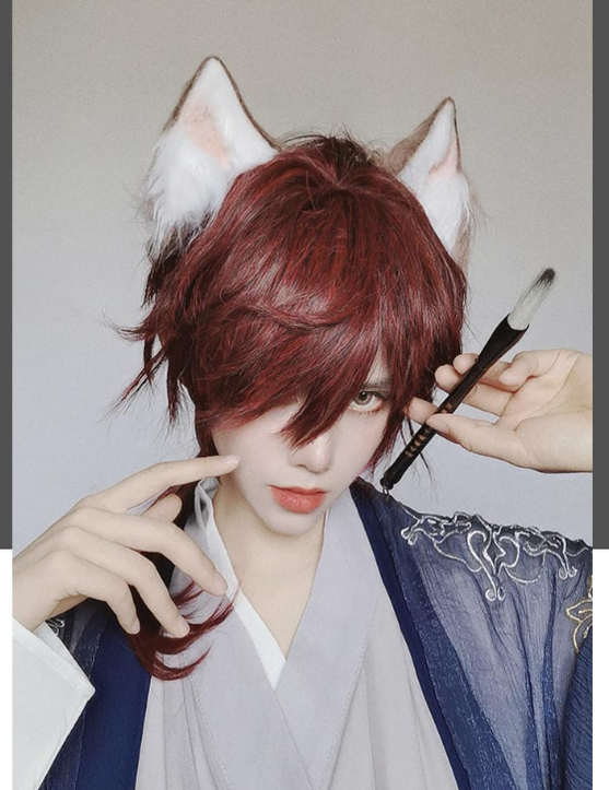 PippiPalace - Wolf Boy - Ouji Lolita Prince Red Trailing Wig