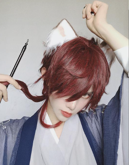 PippiPalace - Wolf Boy - Ouji Lolita Prince Red Trailing Wig