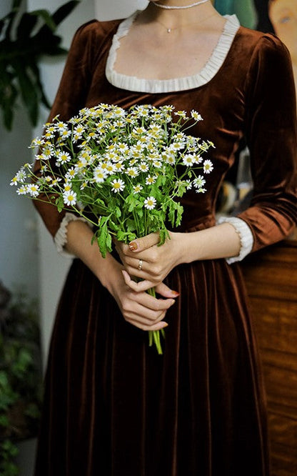 Court lady's velvet dress