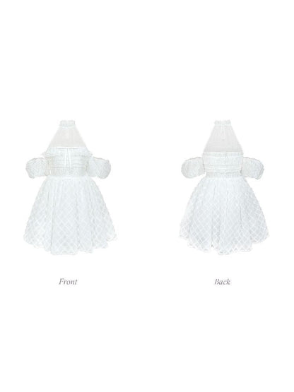 Pure White Mesh Neck Dress【s0000009314】