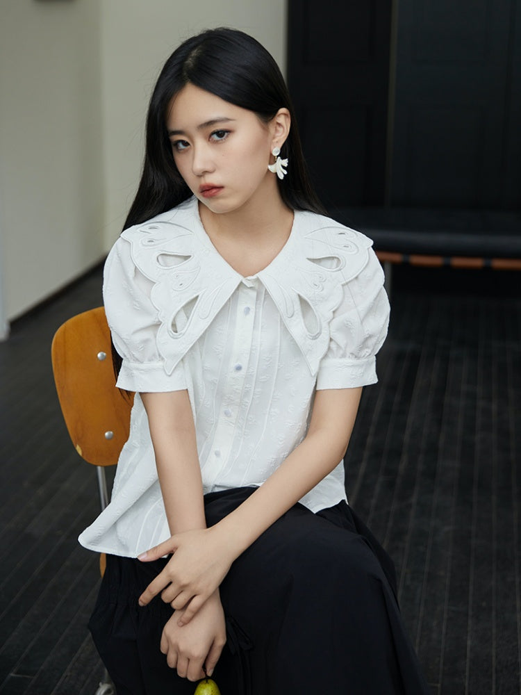 Embroidered Butterfly Lapel Blouse【s0000001736】