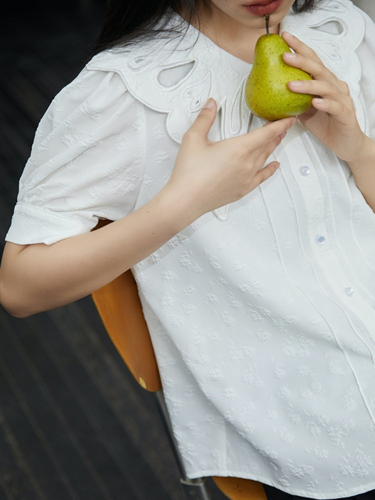 Embroidered Butterfly Lapel Blouse【s0000001736】