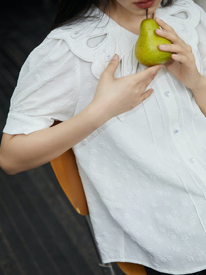 Embroidered Butterfly Lapel Blouse【s0000001736】