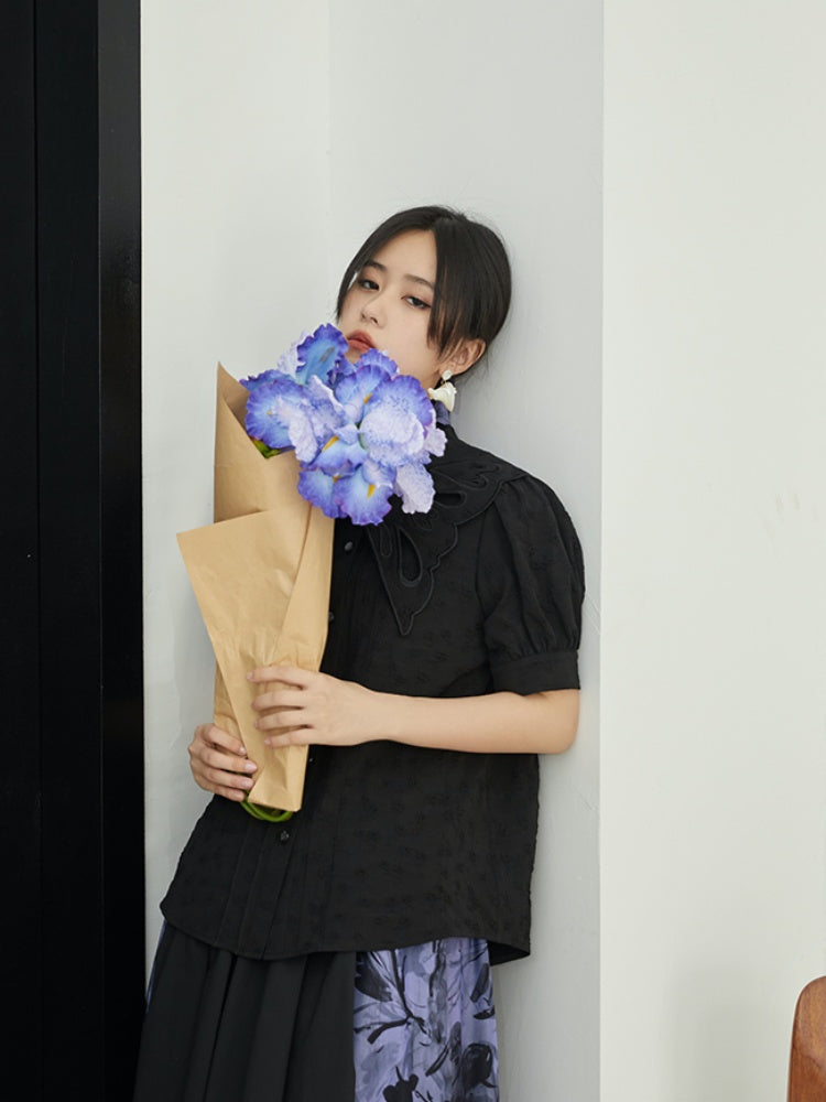 Embroidered Butterfly Lapel Blouse【s0000001736】