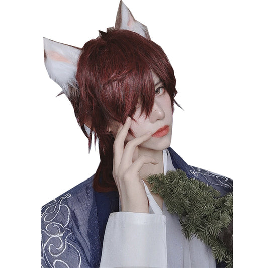 PippiPalace - Wolf Boy - Ouji Lolita Prince Red Trailing Wig