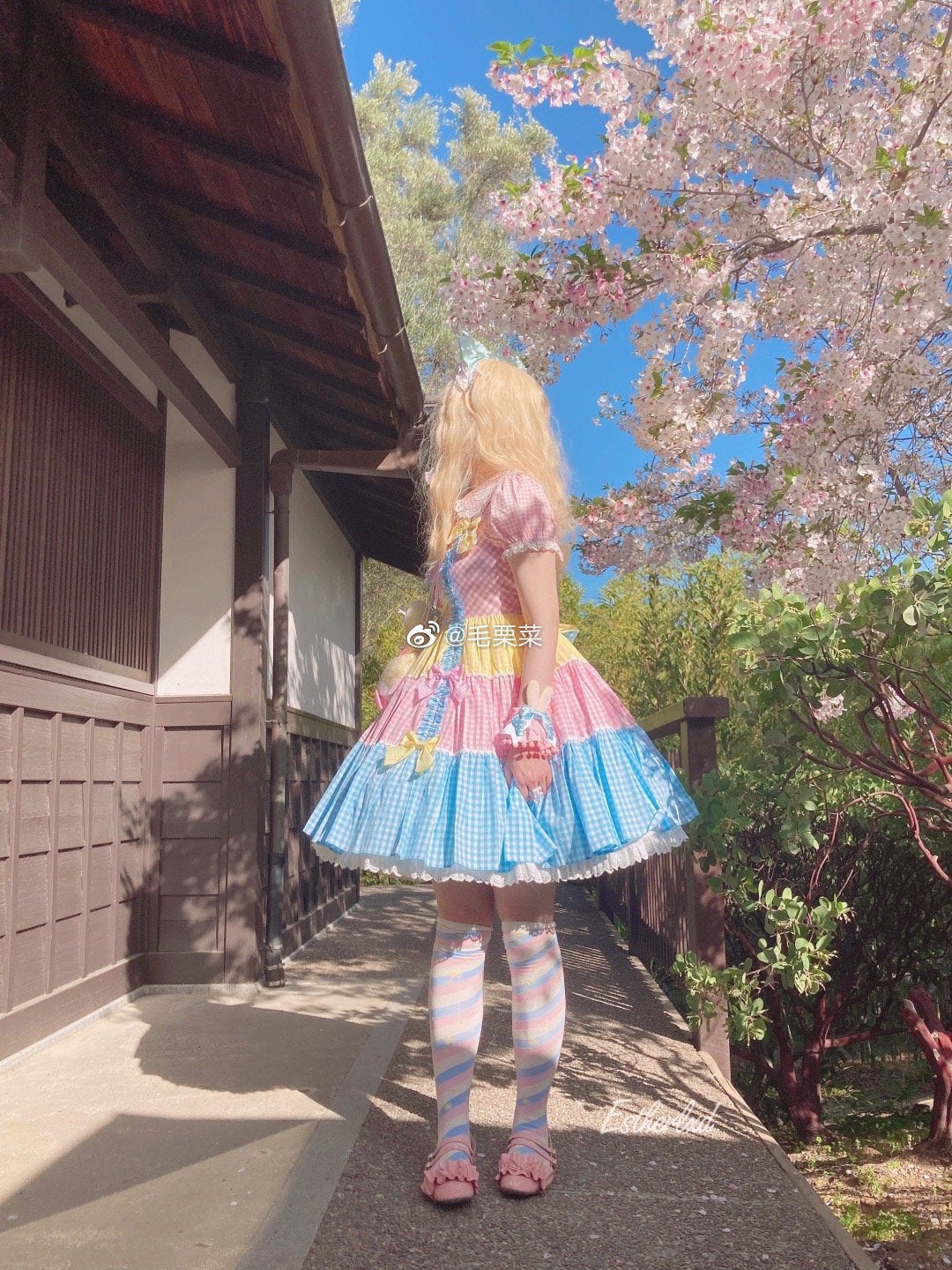 Yukine's Box - Macaron Lolita Cute Stripe Socks