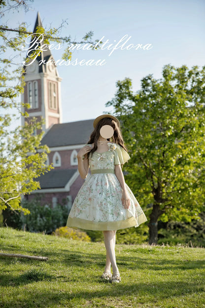 EESSILY - The Rose Dowry - Daily Cotton Lolita OP Dress V-neck Dress