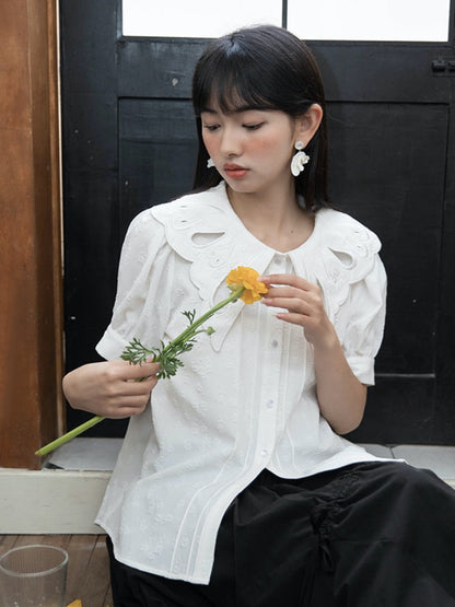 Embroidered Butterfly Lapel Blouse【s0000001736】