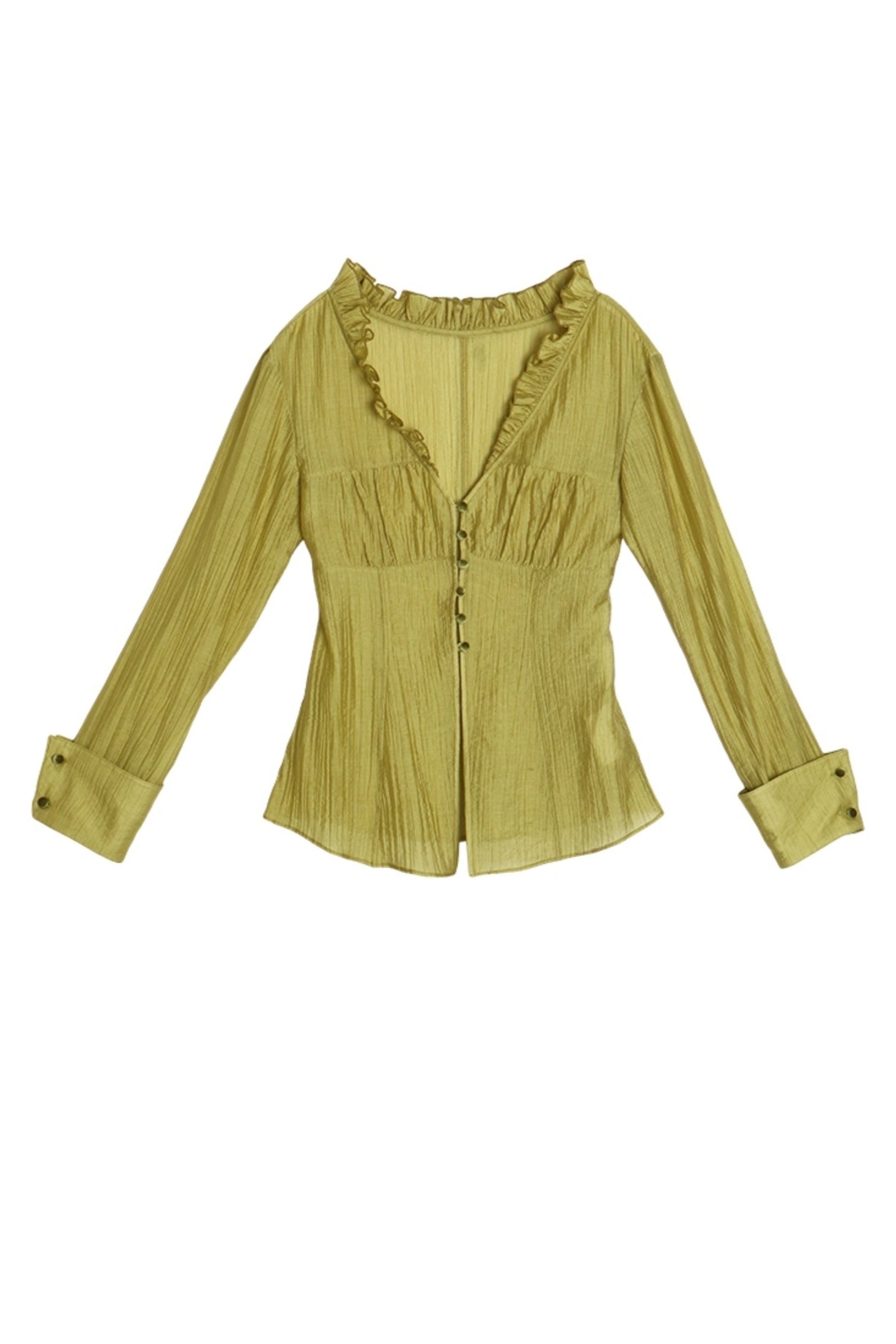 Sheer Pleated V-neck Shirt