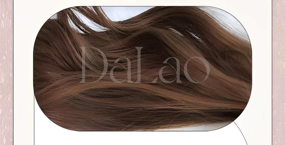 Dalao Home - Shan Li - Daily Lolita Wigs Honey Brown Long Curly Hair