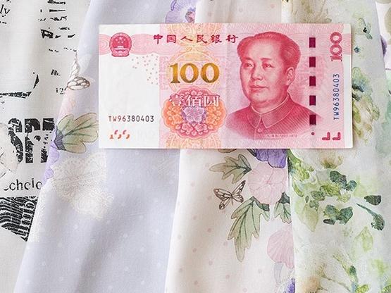 Forest Wardrobe - Forest Holiday - Elegant Lolita Foral Print JSK Dress Multicolors