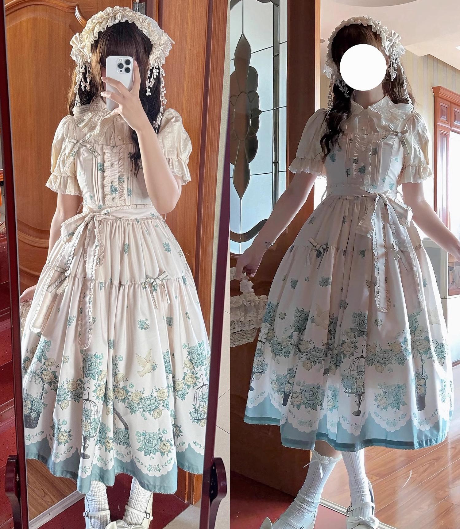 DreamWhale - Floral and Bird Series - Classic Lolita JSK Suit Floral Print Dress