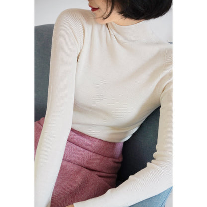 Bottleneck multicolor slim sweater