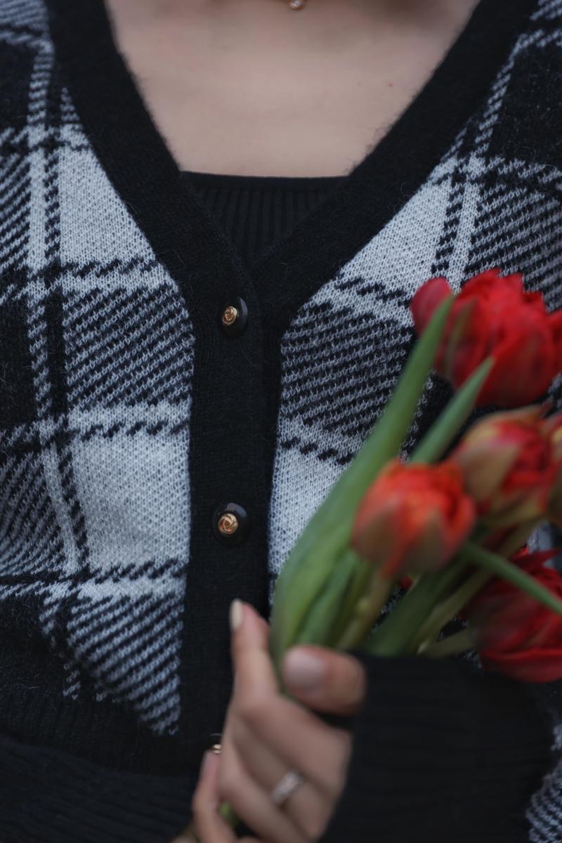 plaid retro sweater and cardigan