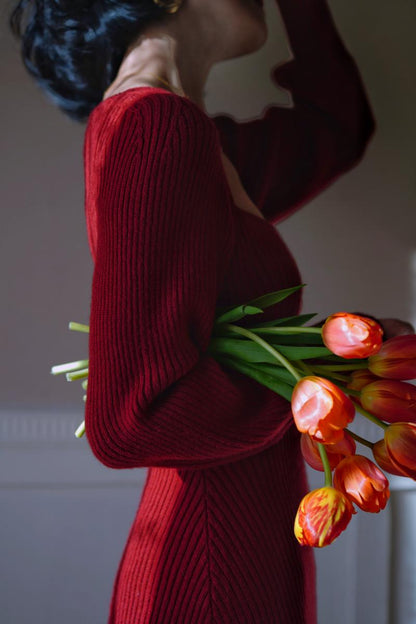 Crimson Lady Knit Dress