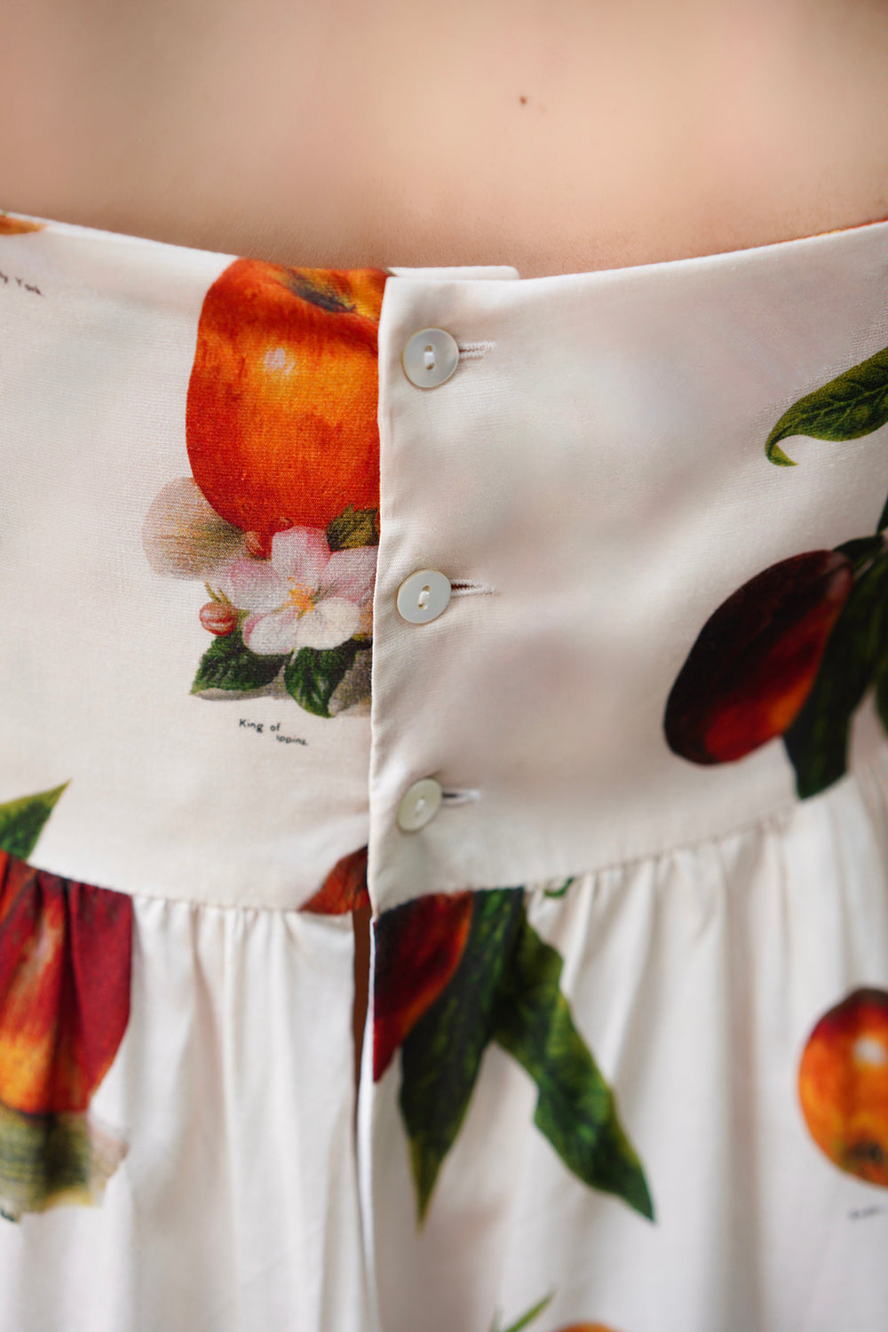 Fruit specimen strap long dress